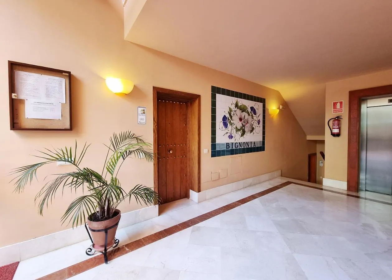 Luxury Apartment In Jardines De Don Carlos Marbella